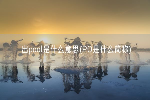 出pool是什么意思(PO是什么简称)(图1)