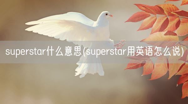 superstar什么意思(superstar用英语怎么说)(图1)