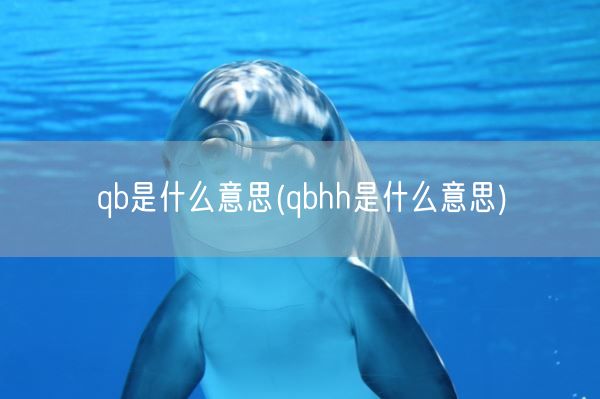 qb是什么意思(qbhh是什么意思)(图1)
