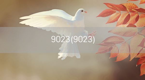 9023(9023)(图1)