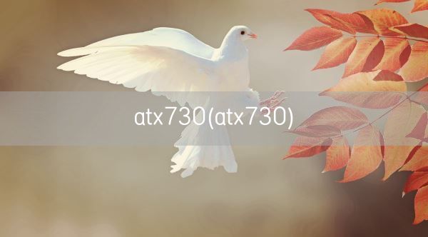 atx730(atx730)(图1)