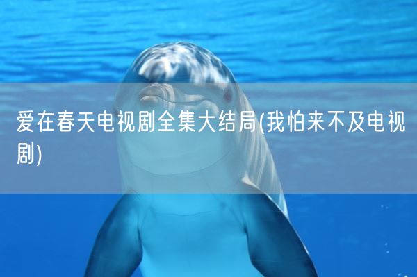 爱在春天电视剧全集大结局(我怕来不及电视剧)(图1)