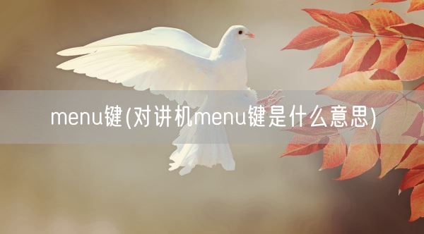 menu键(对讲机menu键是什么意思)(图1)