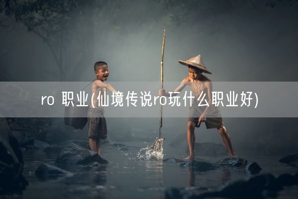 ro 职业(仙境传说ro玩什么职业好)(图1)