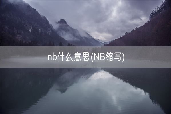 nb什么意思(NB缩写)(图1)