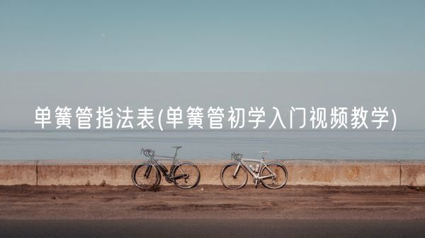 单簧管指法表(单簧管初学入门视频教学)(图1)