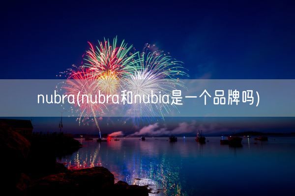 nubra(nubra和nubia是一个品牌吗)(图1)