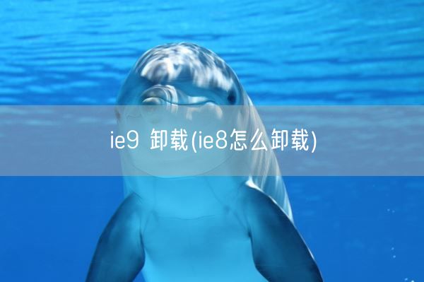 ie9 卸载(ie8怎么卸载)(图1)