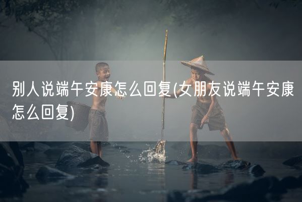 别人说端午安康怎么回复(女朋友说端午安康怎么回复)(图1)