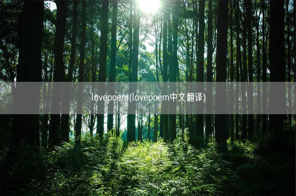 lovepoem(lovepoem中文翻译)(图1)