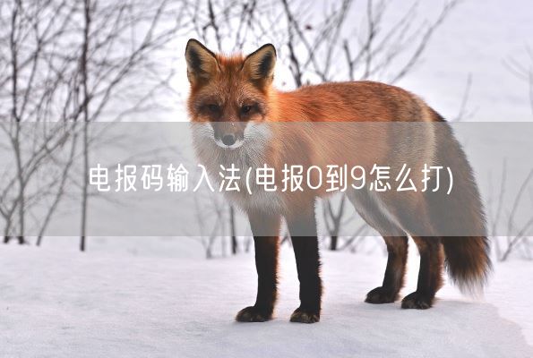 电报码输入法(电报0到9怎么打)(图1)