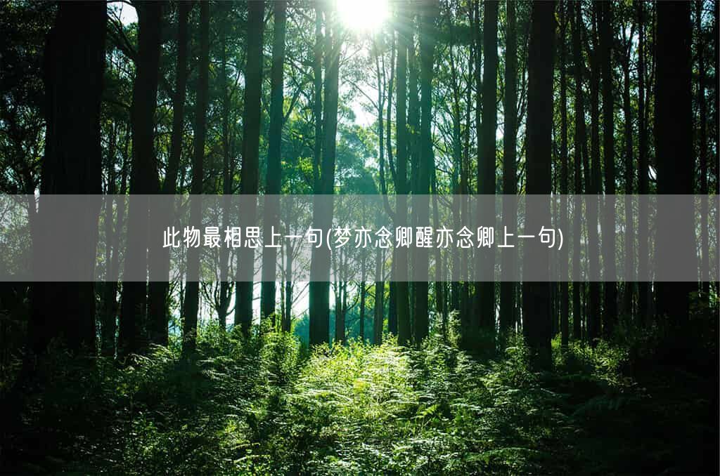 此物最相思上一句(梦亦念卿醒亦念卿上一句)(图1)