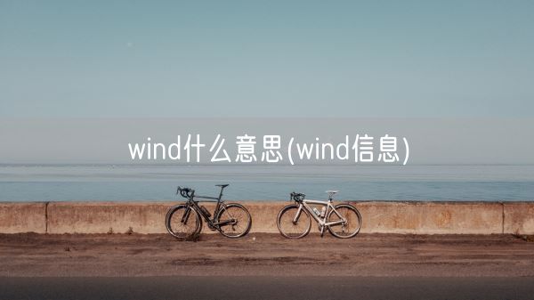 wind什么意思(wind信息)(图1) wind什么意思(wind信息)(图1)