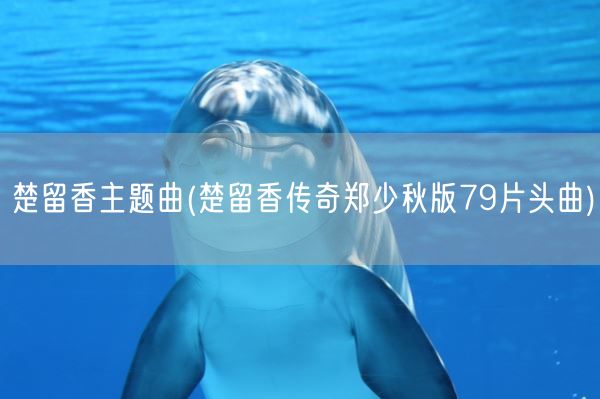 楚留香主题曲(楚留香传奇郑少秋版79片头曲)(图1) 楚留香主题曲(楚留香传奇郑少秋版79片头曲)(图1)