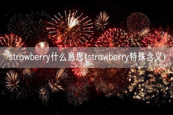 strawberry什么意思(strawberry特殊含义)(图1)