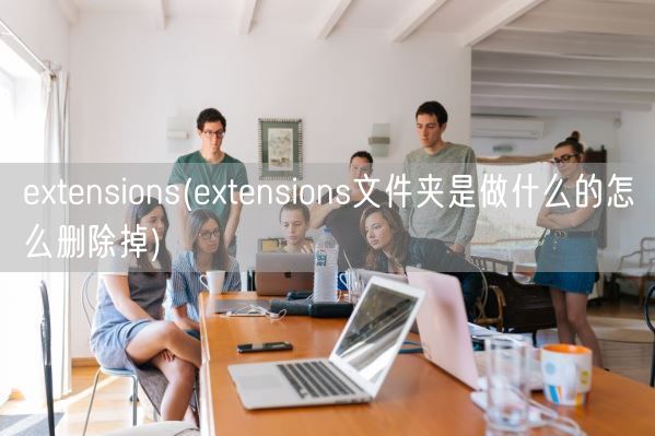 extensions(extensions文件夹是做什么的怎么删除掉)(图1)
