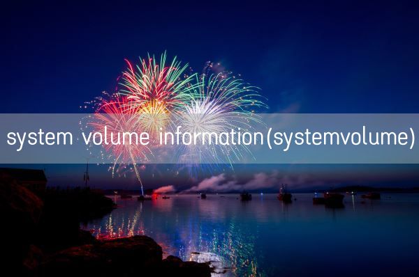 system volume information(systemvolume)(图1)