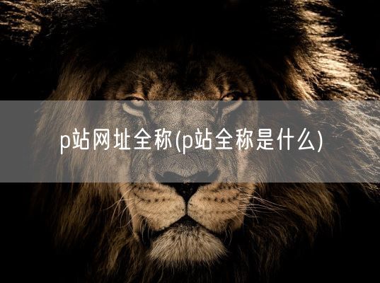 p站网址全称(p站全称是什么)(图1)