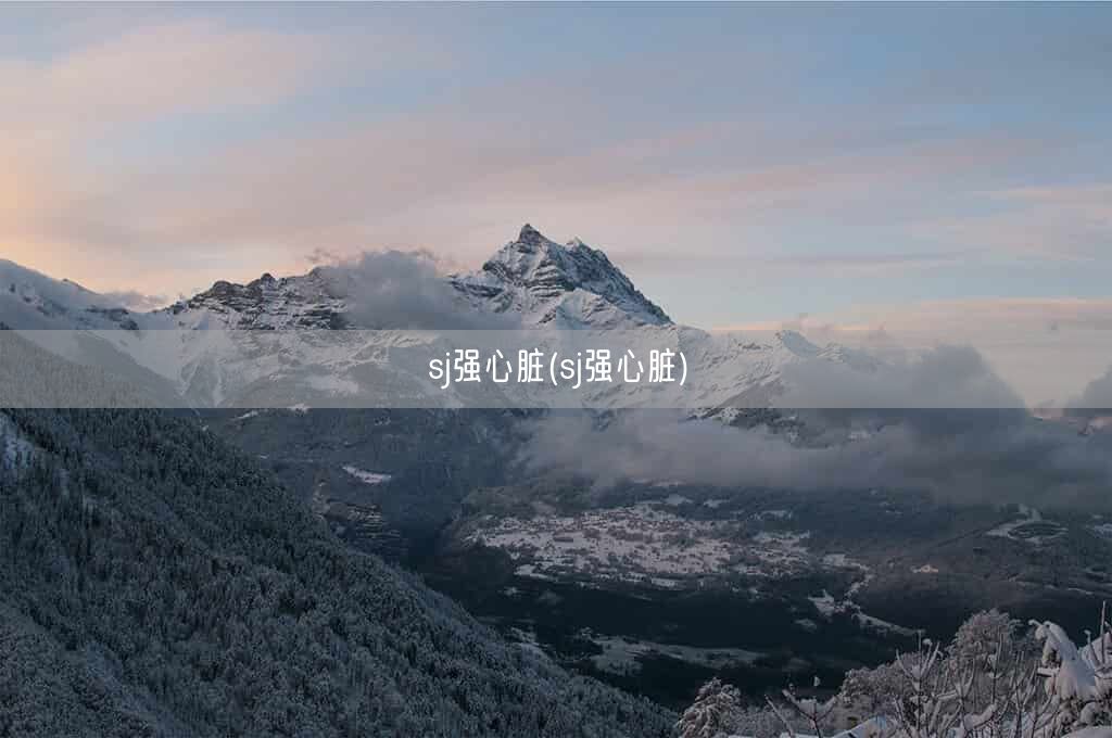 sj强心脏(sj强心脏)(图1)