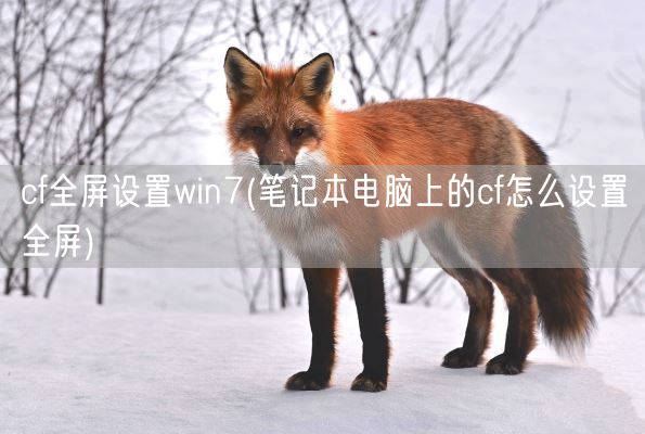 cf全屏设置win7(笔记本电脑上的cf怎么设置全屏)(图1)