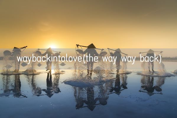 waybackintolove(the way way back)(图1)