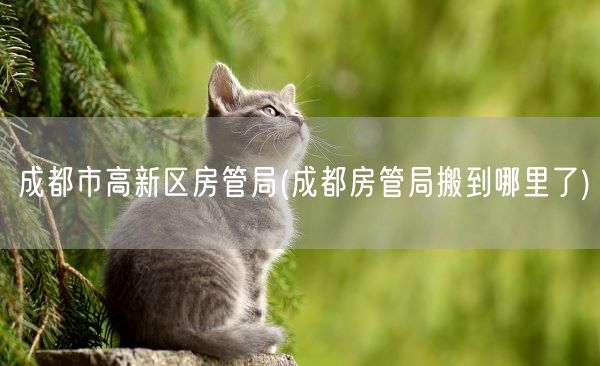 成都市高新区房管局(成都房管局搬到哪里了)(图1)