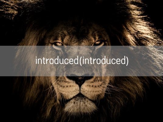 introduced(introduced)(图1)