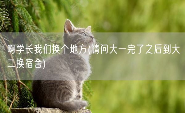 啊学长我们换个地方(请问大一完了之后到大二换宿舍)(图1)