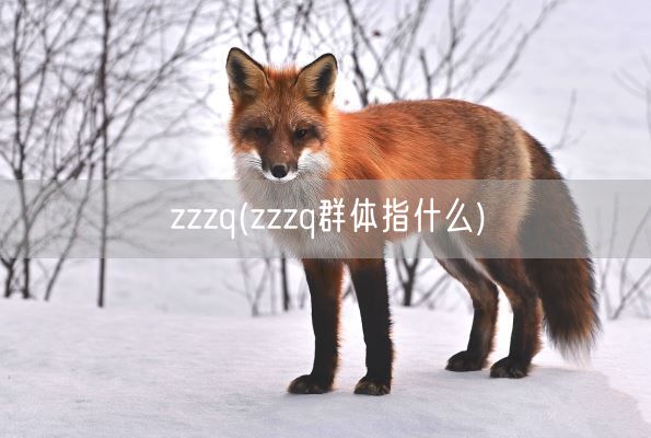zzzq(zzzq群体指什么)(图1) zzzq(zzzq群体指什么)(图1)