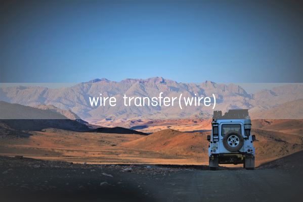 wire transfer(wire)(图1)