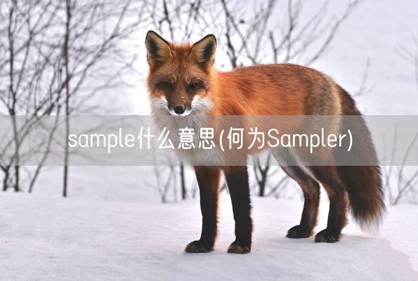 sample什么意思(何为Sampler)(图1) sample什么意思(何为Sampler)(图1)