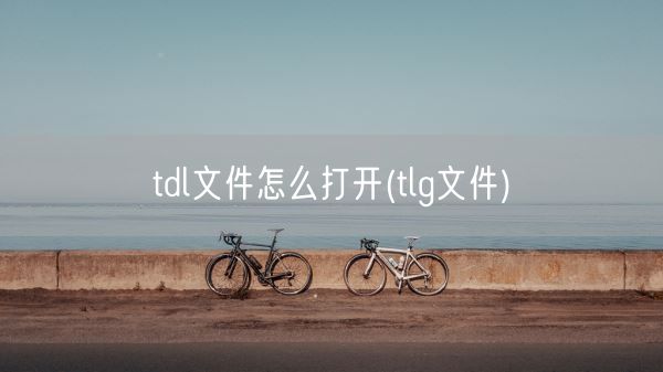 tdl文件怎么打开(tlg文件)(图1)