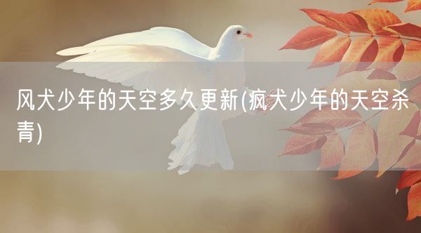 风犬少年的天空多久更新(疯犬少年的天空杀青)(图1)