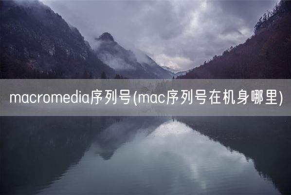 macromedia序列号(mac序列号在机身哪里)(图1)
