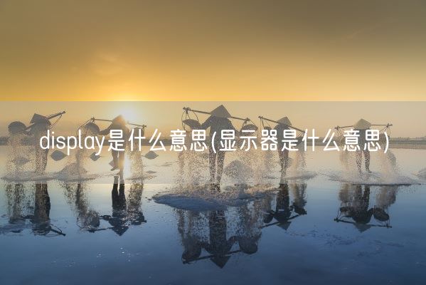 display是什么意思(显示器是什么意思)(图1)