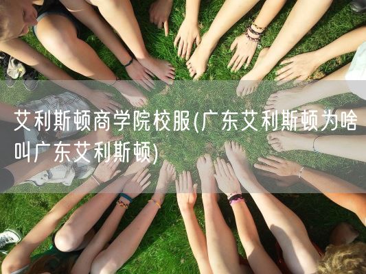 艾利斯顿商学院校服(广东艾利斯顿为啥叫广东艾利斯顿)(图1)