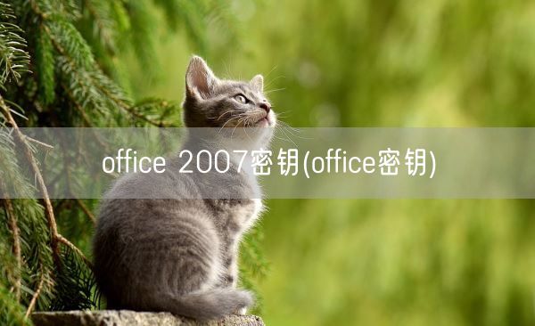 office 2007密钥(office密钥)(图1)