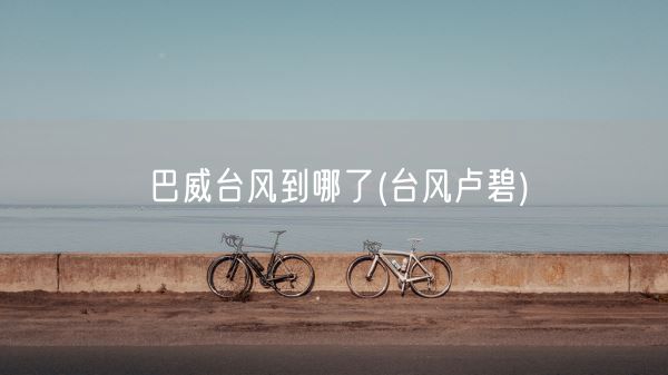 巴威台风到哪了(台风卢碧)(图1)