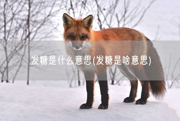 发糖是什么意思(发糖是啥意思)(图1)