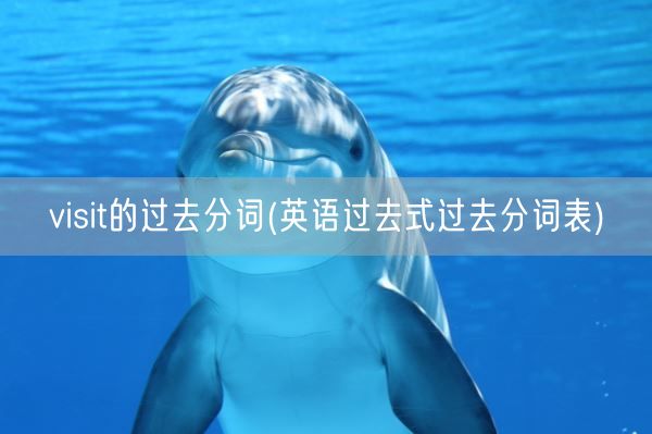 visit的过去分词(英语过去式过去分词表)(图1) visit的过去分词(英语过去式过去分词表)(图1)