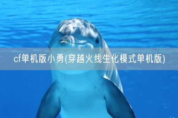 cf单机版小勇(穿越火线生化模式单机版)(图1)