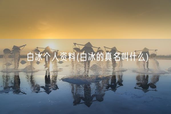 白冰个人资料(白冰的真名叫什么)(图1)