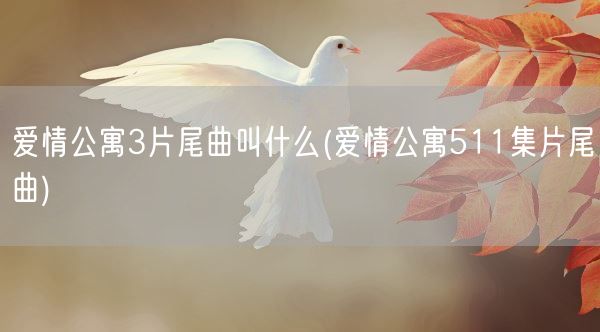 爱情公寓3片尾曲叫什么(爱情公寓511集片尾曲)(图1)