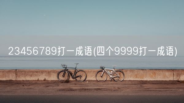 23456789打一成语(四个9999打一成语)(图1)