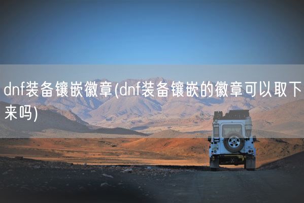 dnf装备镶嵌徽章(dnf装备镶嵌的徽章可以取下来吗)(图1)