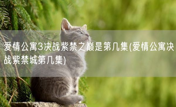 爱情公寓3决战紫禁之巅是第几集(爱情公寓决战紫禁城第几集)(图1)