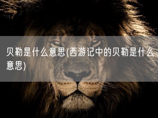 贝勒是什么意思(西游记中的贝勒是什么意思)(图1)