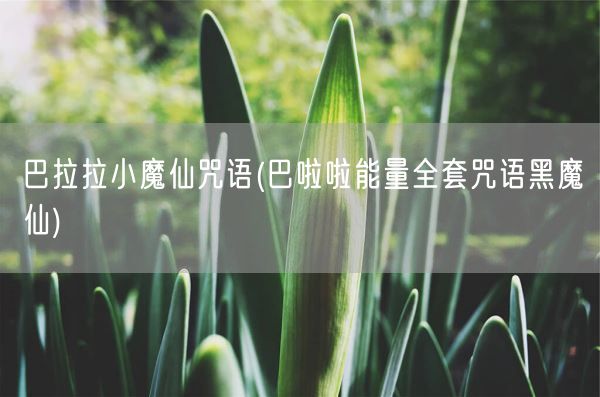 巴拉拉小魔仙咒语(巴啦啦能量全套咒语黑魔仙)(图1)