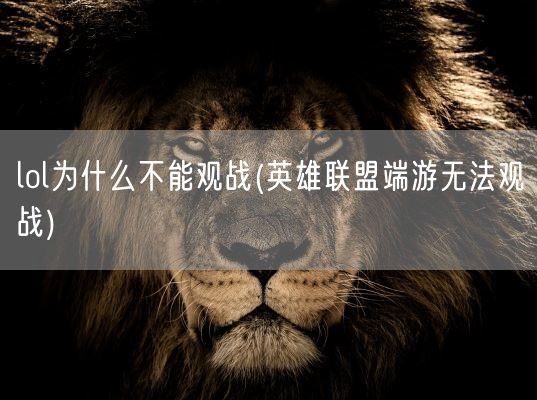 lol为什么不能观战(英雄联盟端游无法观战)(图1)