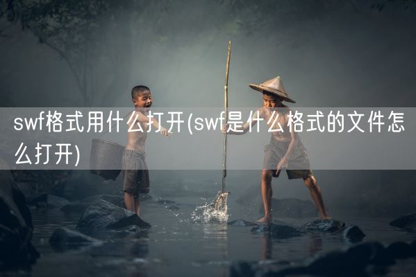 swf格式用什么打开(swf是什么格式的文件怎么打开)(图1)